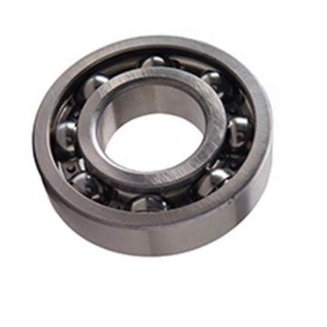 Chinese Manufacturer Bearings 6200 6201 6202 6203 6204 6205 6305 6306 6308 Zz 2RS Deep Groove Ball Bearing