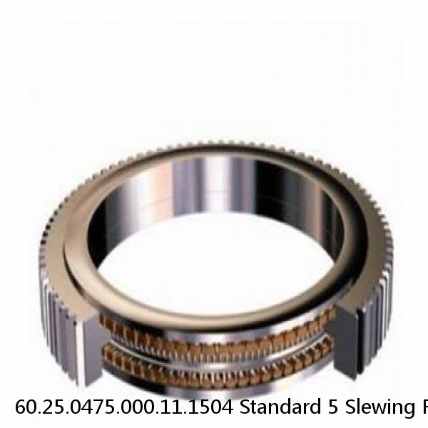 60.25.0475.000.11.1504 Standard 5 Slewing Ring Bearings