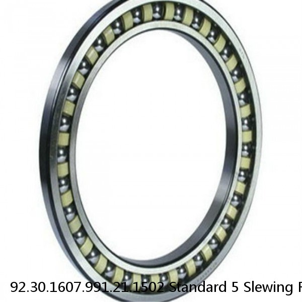 92.30.1607.991.21.1502 Standard 5 Slewing Ring Bearings