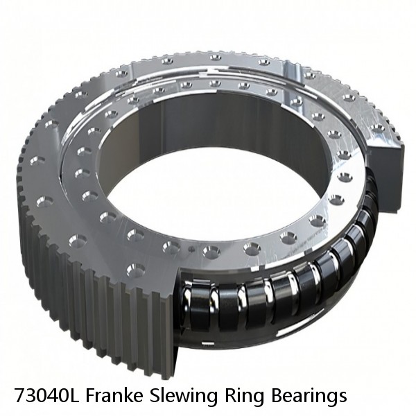 73040L Franke Slewing Ring Bearings