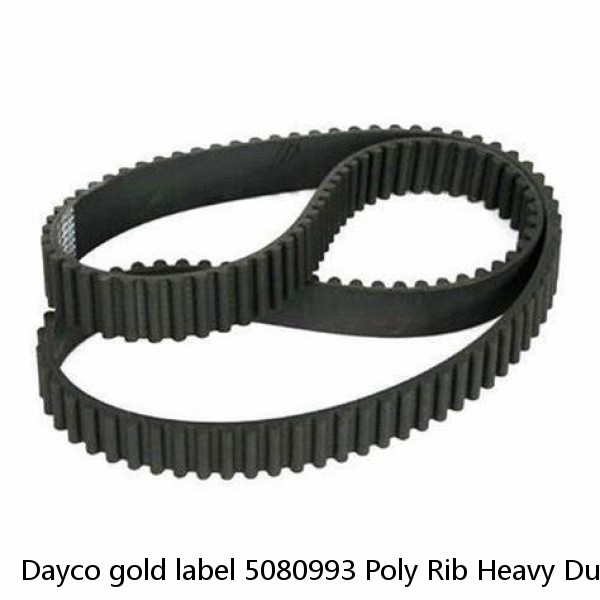 Dayco gold label 5080993 Poly Rib Heavy Duty Belt 8pk2520 ~ FORD F-150 5.4L