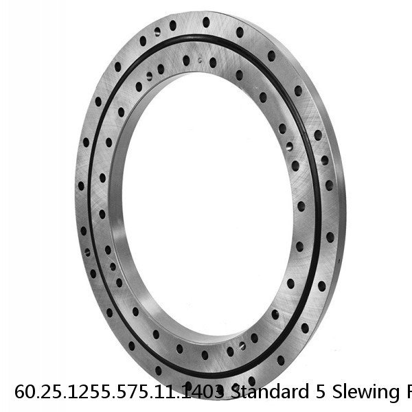 60.25.1255.575.11.1403 Standard 5 Slewing Ring Bearings