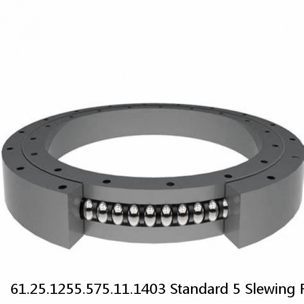 61.25.1255.575.11.1403 Standard 5 Slewing Ring Bearings