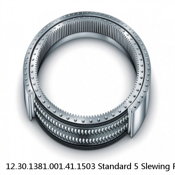 12.30.1381.001.41.1503 Standard 5 Slewing Ring Bearings