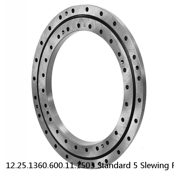 12.25.1360.600.11.1503 Standard 5 Slewing Ring Bearings