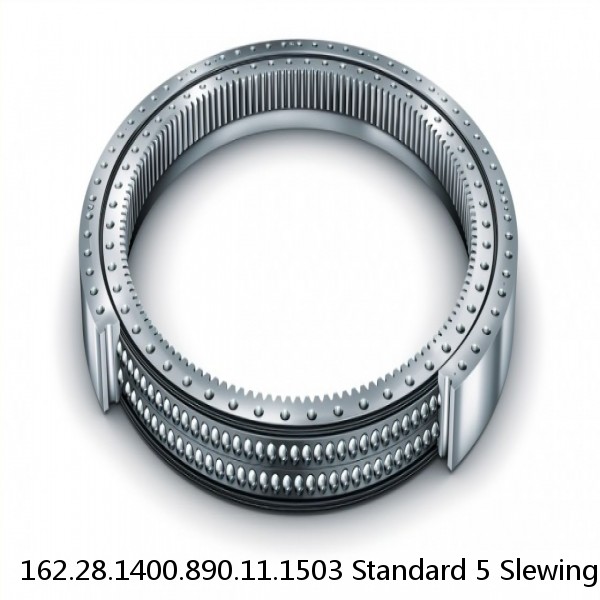 162.28.1400.890.11.1503 Standard 5 Slewing Ring Bearings