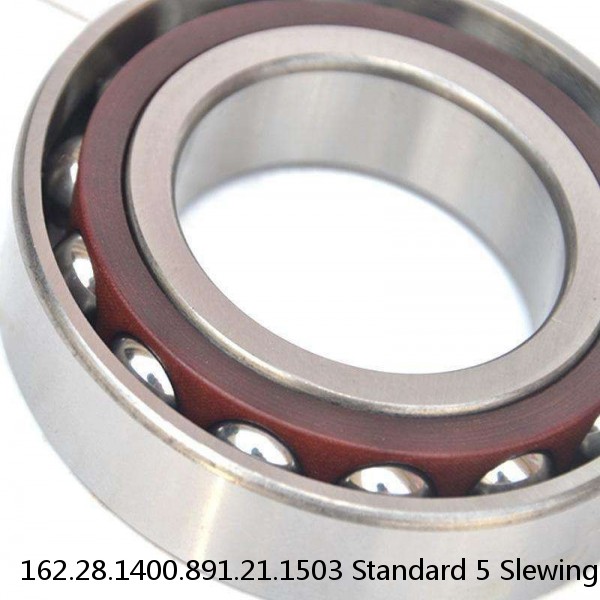 162.28.1400.891.21.1503 Standard 5 Slewing Ring Bearings