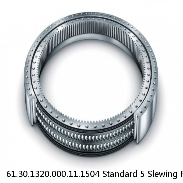 61.30.1320.000.11.1504 Standard 5 Slewing Ring Bearings