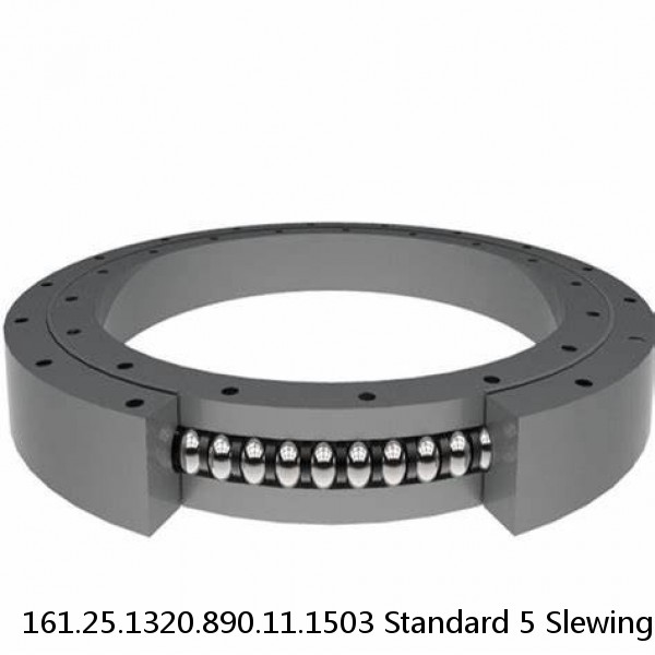 161.25.1320.890.11.1503 Standard 5 Slewing Ring Bearings