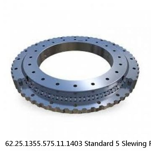 62.25.1355.575.11.1403 Standard 5 Slewing Ring Bearings