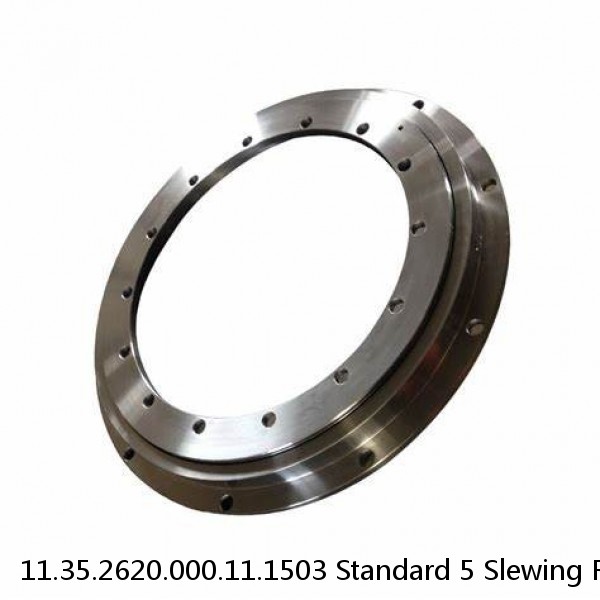 11.35.2620.000.11.1503 Standard 5 Slewing Ring Bearings