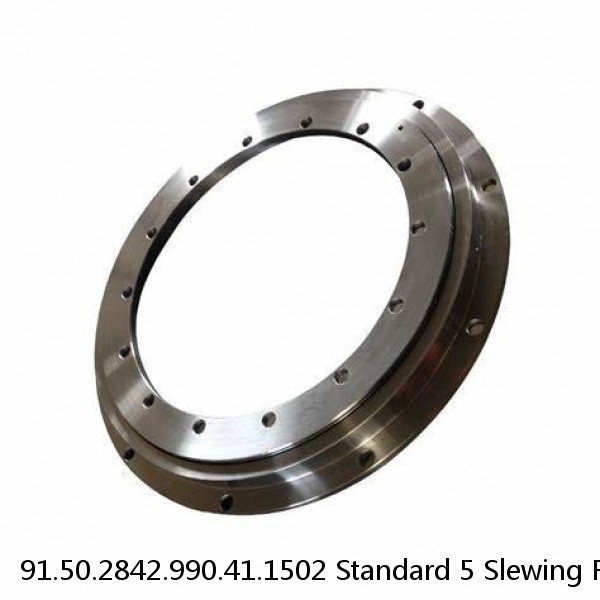 91.50.2842.990.41.1502 Standard 5 Slewing Ring Bearings