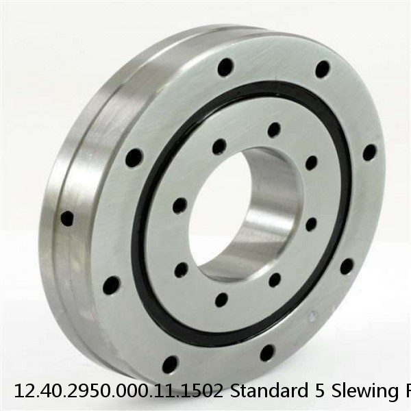 12.40.2950.000.11.1502 Standard 5 Slewing Ring Bearings