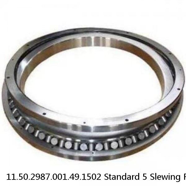 11.50.2987.001.49.1502 Standard 5 Slewing Ring Bearings