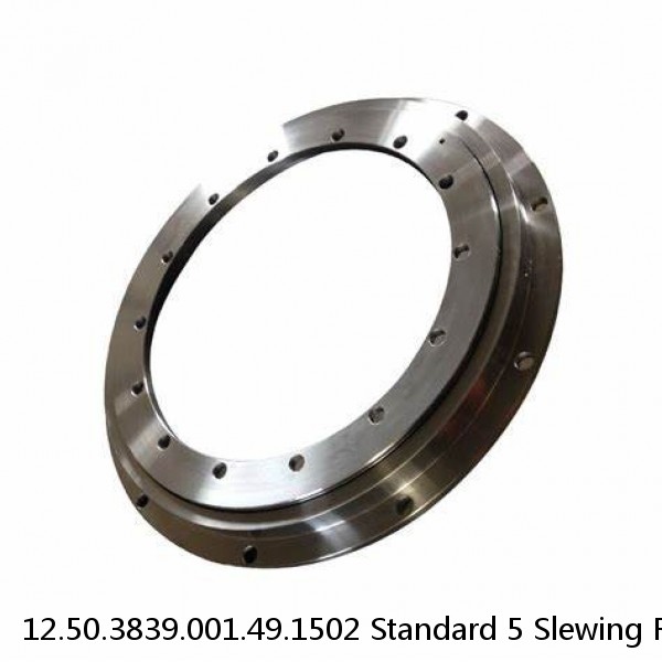 12.50.3839.001.49.1502 Standard 5 Slewing Ring Bearings