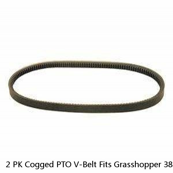 2 PK Cogged PTO V-Belt Fits Grasshopper 381914 381914G Simplicity 1717393SM