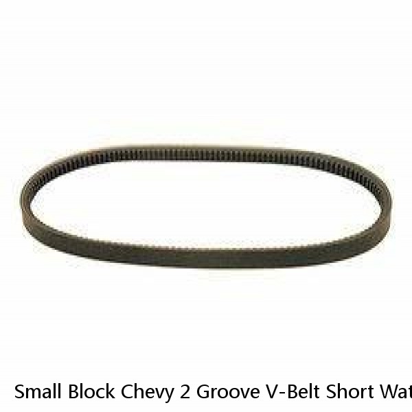 Small Block Chevy 2 Groove V-Belt Short Water Pump Pulley Kit Aluminum 59-68 350