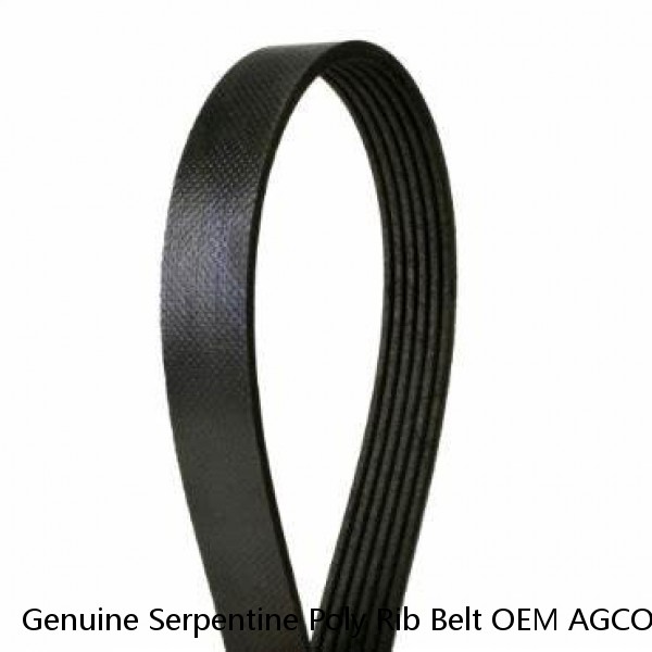 Genuine Serpentine Poly Rib Belt OEM AGCO K080575 / 5080575 / 202-0951