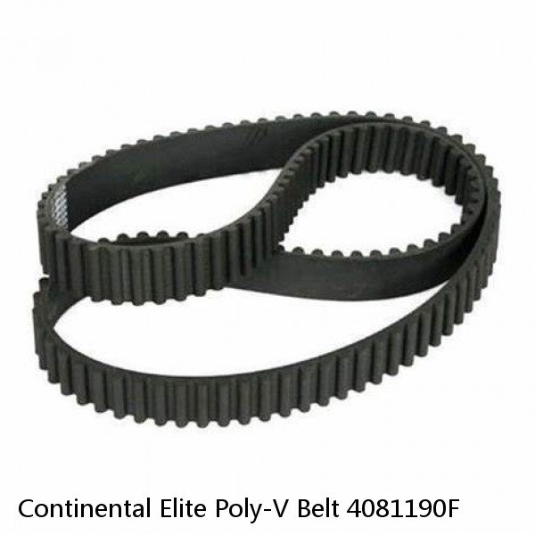 Continental Elite Poly-V Belt 4081190F