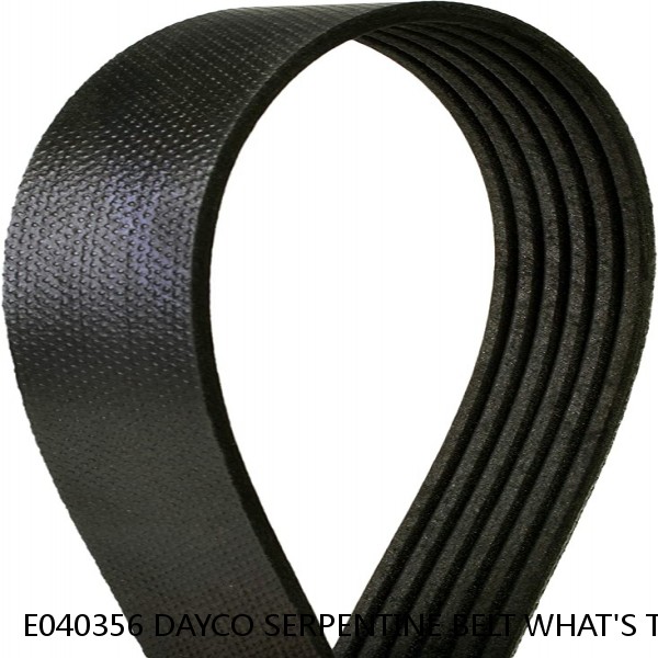 E040356 DAYCO SERPENTINE BELT WHAT'S THE BEST PRICE ON BELTS