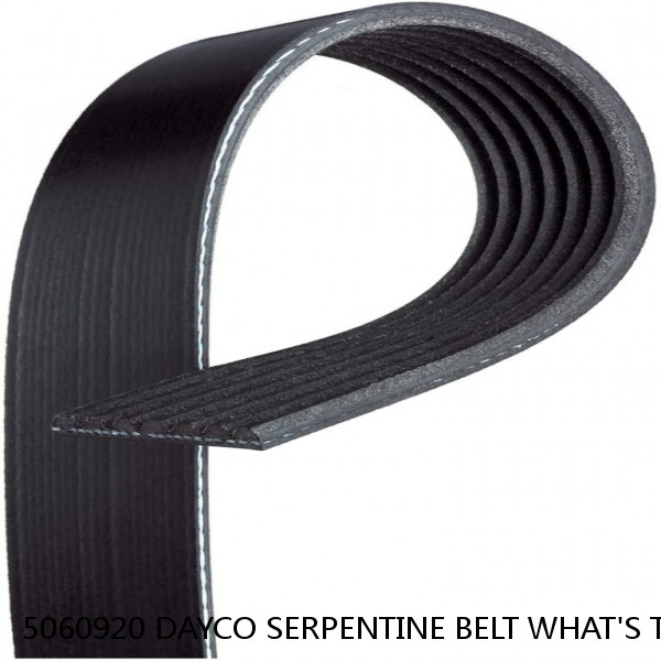5060920 DAYCO SERPENTINE BELT WHAT'S THE BEST PRICE ON BELTS