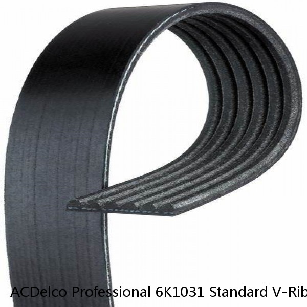 ACDelco Professional 6K1031 Standard V-Ribbed Serpentine Belt