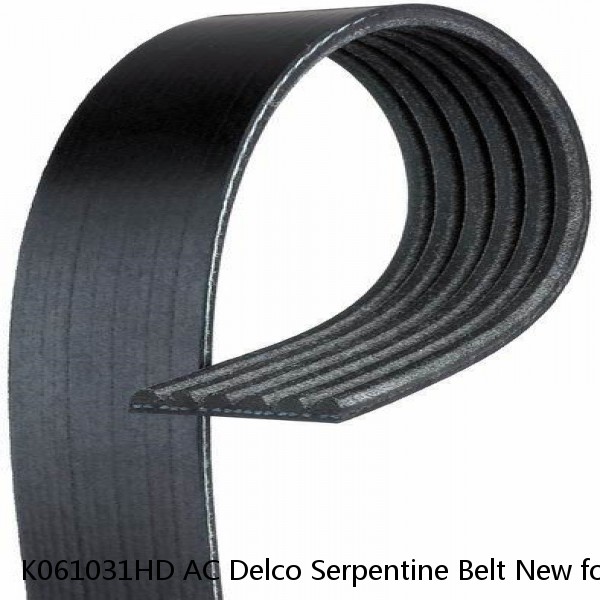 K061031HD AC Delco Serpentine Belt New for Chevy F150 Truck Ford F-150 Navigator